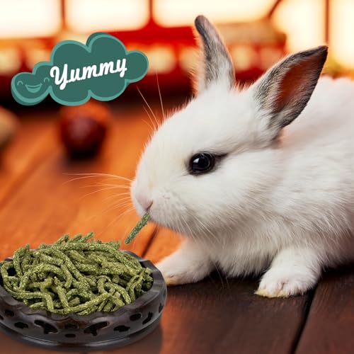Timothy Hay Pellets 6.4oz for Rabbits & Tortoises | 100% premium timothy pellets with balanced nutrition for rabbits and tortoises