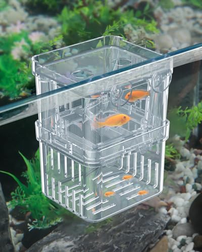 Pawfly Small Aquarium Fish Breeding Box for Fry Hatchery, Shrimp & Aggressive Fish Isolation - size: Small