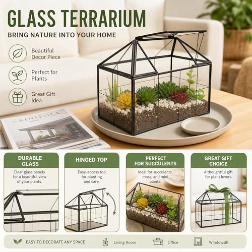 Ferrisland Glass Terrarium Greenhouse House Shape Display Box Planter for Succulents Plant Terrarium Container Mordern Tabletop Decor Gardern DIY Kit - size: 9.1"L x 7.3"H 5.4"W