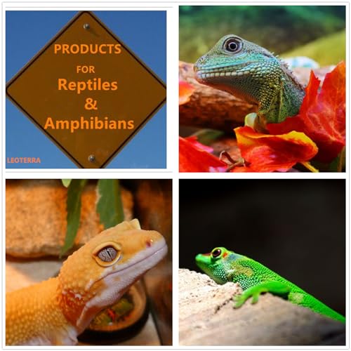 Leoterra 75w Heat Lamp Bulbs Day and Night Heat Lamp Bulbs Combo Pack, Dimmable Heat lamp for Reptiles, E26 Base,Easy to Install,Long-Lasting Reptile Heating Bulb - style: H8075 Combo Pack