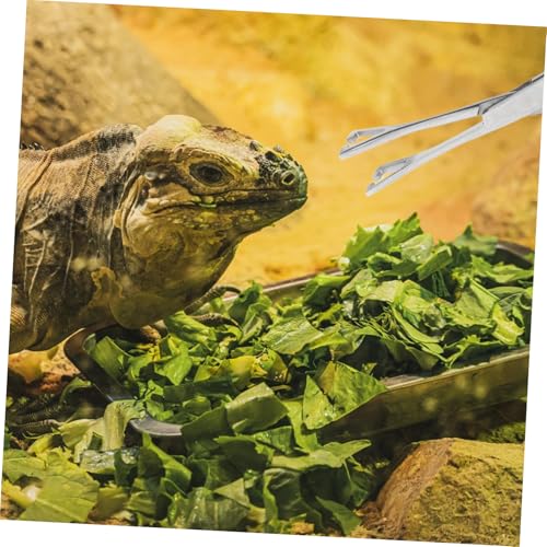 VICASKY Reptile Feeding Tongs Stainless Steel Tweezers for Safe Feeding Long Handle Gentle Grip for Snakes Lizards Animals Food Clip Tool for Terrarium