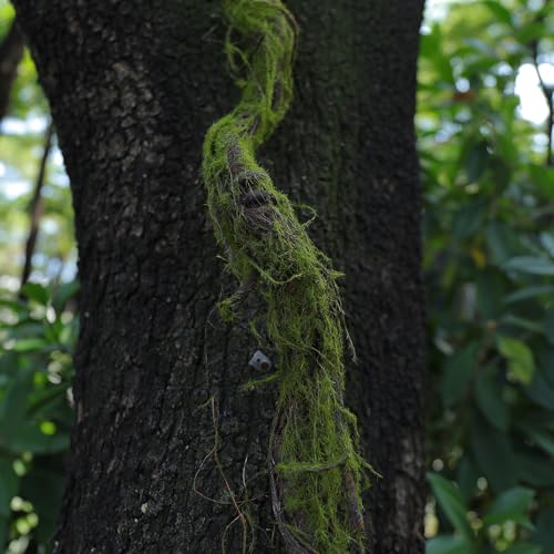 70.86" Fake Tree Branches Grapevine Moss Garland Wall Vines | Artificial Reptile Climbing Twigs Tree Trunk for Cherry Blossom Flowers Hanging Wedding Garden Halloween Outdoor Decoration - size: 5ft 11in