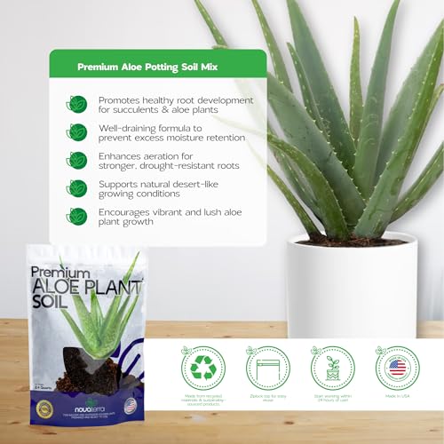 Potting Soil for Aloe Vera Plants Indoor Aloe Vera Plant Cactus Soil Potting Mix Aloe Vera Potting Mix Indoor Potted Aloe Plants Live Succulents Cactus Live Plants 2.4 Qts - color: Aloe Vera Soil