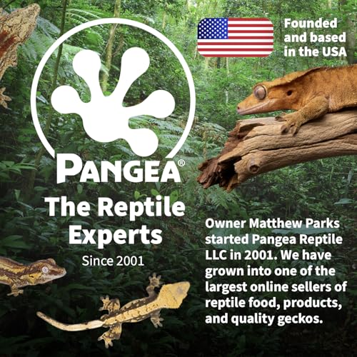 Pangea Silicone Gecko Feeding Ledge - Magnetic Mini Food Dish for Reptile Tank - 4.125" x 2.625" x 1.18" - Fits 0.5oz Cups (Gray) - color: Gray