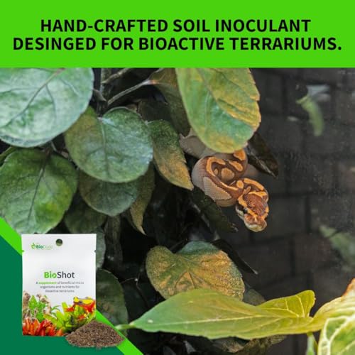 The Bio Dude BioShot for bioactive Substrate - Soil inoculant and Plant Booster (36 Quart Substrate Shot) - size: 36 quart substrate shot