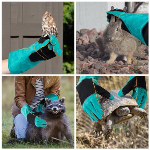 AOWPFVV 23.6 Inches Leather Animal Handling Gloves, Bite Proof Gloves for Dog Cat Bird Falcon Grabbing Reptile Squirrel Snake(Large) - color: Light Green +Black Padding Size Large 23.6in