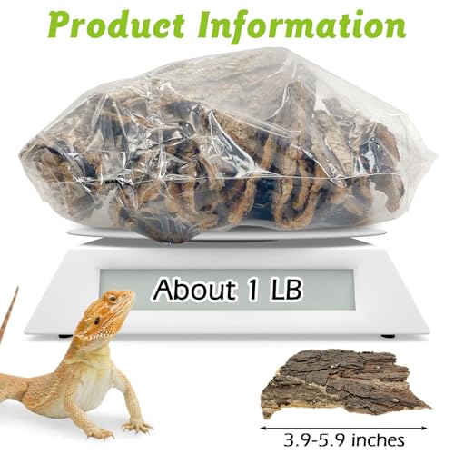 Reptile Cork Bark with Reptile Climbing Decor Thick Wood Branches Snake Habitat Decorations Terrarium Wooden Tree Trunk Ornament
