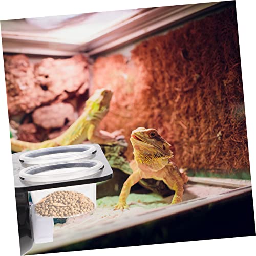TOYANDONA 1Set Reptile Feeding Ledge with Suction Cup Detachable Food Basin Water Feeder Reptile Tank Supplies for Gecko Lizard Frog