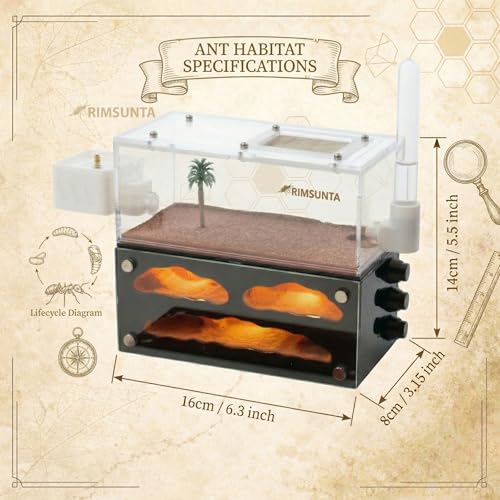 Lumen Chamber Ant Nest with Built in LED Lights, Replaceable Light Module, Water Feeder, Trash Box and Ant Keeping Starter Lit - color: Chambers