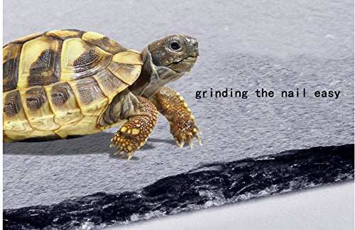 OMEM Turtle Reptile Rock Food Plate Grinding the Nail (S) - size: S