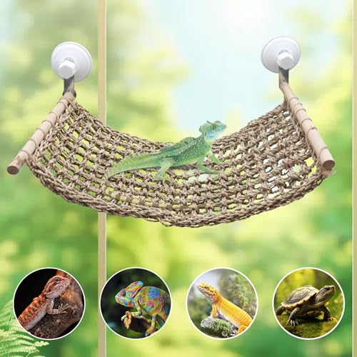 23 × 9 Inch Large Bearded Dragon Hammock, Reptile Window Bed, Seagrass Mat Window Perch Toy with Powerful Suction Cups, Climbing Accessories for Bird Parrot Lizard Leopard Gecko Guinea Pig Rat