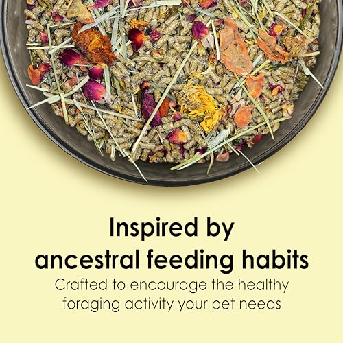 Kaytee Food from The Wild Natural Pet Rabbit Food, 4 Pound - size: 4 Pound (Pack of 1)