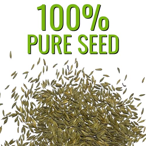 Seed Needs Dandelion Seeds to Plant Heirloom & Non-GMO Herbs 5 Packs - size: 5 Packs, style: Common Dandelion