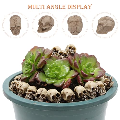 ABOOFAN 20pc Resin Mini Skulls - Halloween Skull Head Decor for Home Table & Garden