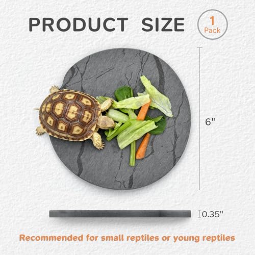 Reptile Basking Platform, Diatomaceous Earth Slate Rock Feeding Dish, Tortoise Bathing Resting Terrace Habitat Accessories for Bearded Dragon Leopard Gecko Snake Lizard Turtle Tank, 6''x6'' - size: 6''x6''