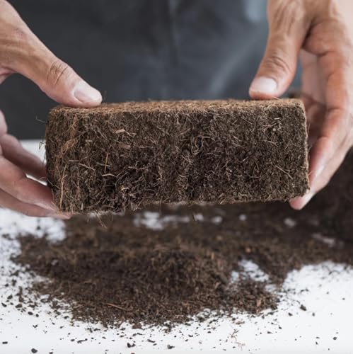 North Spore 'Myco Coco' Compressed Coco Coir Substrate & Casing Layer