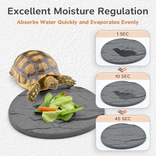 Reptile Basking Platform, Diatomaceous Earth Slate Rock Feeding Dish, Tortoise Bathing Resting Terrace Habitat Accessories for Bearded Dragon Leopard Gecko Snake Lizard Turtle Tank, 6''x6'' - size: 6''x6''