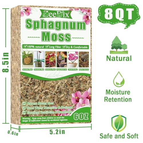 ZeeDix 6 oz Sphagnum Moss for Plants Indoor, Long Fiber Natural Orchid Moss for Repotting Carnivorous Plants, Succulents, Monstera, Flower & Reptile Terrariums Habitats (Expands to 8 qt) - size: 6 ounces
