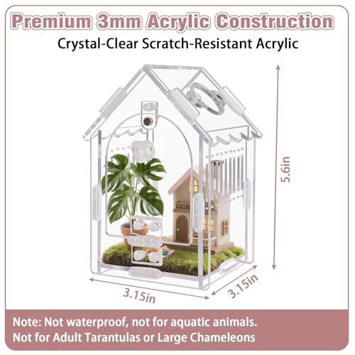 Acrylic Jumping Spider Enclosure 3.15"x3.15"x5.6" – Magnetic Front Opening Terrarium for Tarantulas, Mantis & Small Reptiles | Escape-Proof Habitat with Ventilation & No-Tool Assembly - size: 3.15 x 3.15 x 5.6 inches