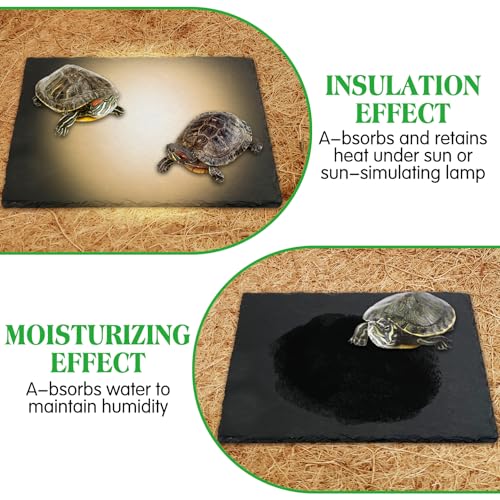 Tfwadmx Reptile Basking Platform, Tortoise Feeding Dish, Natural Rock Reptile Food Bowl Landscape Habitat Decor for Turtle Lizard Bearded Dragon Crested Gecko Snake - size: 1pcs-12"x6"