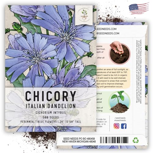 Seed Needs Chicory Seeds to Plant Italian Dandelion Blue Flowers 1 Pack - size: 1 Pack, style: Italian Dandelion