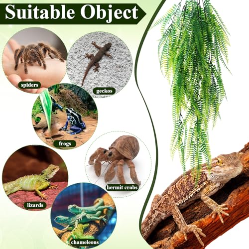 Suncalla Reptile Plants Terrarium Hanging Plants Vines Boston Climbing Terrarium Plant with Suction Cup for Bearded Dragons Lizards Crested Gecko Snake Crab Tank(Tri Color Series,3 Colors) - style: Tri Color Series