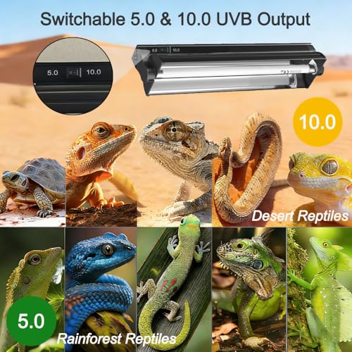 T5 HO UVB Reptile Light Fixture Combo Kit, Switchable 10.0 & 5.0 UVB Bulb, 8W Fluorescent Tube 12 Inch UVA/UVB Output Lamp for Rainforest Species and Desert Reptiles - size: 8W T5 5.0+10.0 Suite