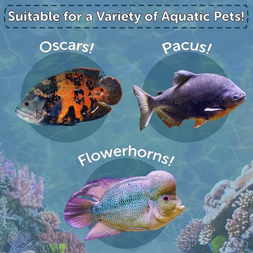 Crickets, Freeze Dried Crickets for Large Tropical Fish, Monster Fish, Reptiles, Turtles, Tortoises, Frogs, Hamsters, Birds, Rodents 3oz Canister - size: 3 Ounce (Pack of 1)