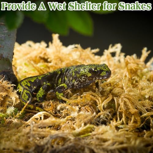 Halatool 6OZ Natural Sphagnum Moss Substrate for Reptiles - Terrarium Bedding with 72H Moisture Retention, Safe for Bearded Dragons, Geckos & Snake Shedding - size: 6 OZ