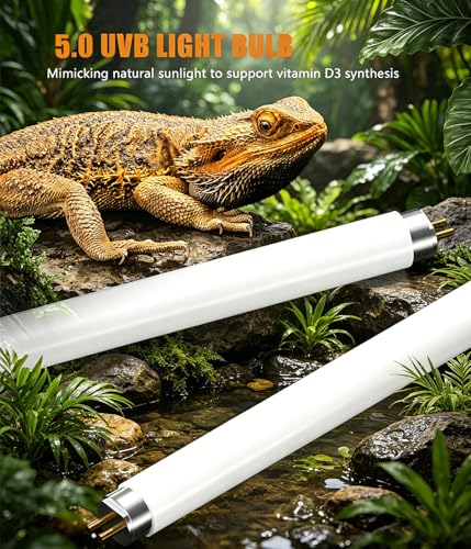 3 Pack T5 HO 5.0 UVB Reptile Light Bulb 8W 12 Inch, UVA UVB Fluorescent Lamp Tube, Simulate Natural Sunlight for Bearded Dragon, Chameleon, Turtle, Tortoise, Lizard, Reptiles & Amphibians