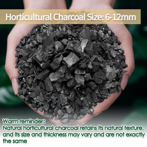 Horticultural Charcoal for Plants,Enhance Drainage and Improve Soil,Premium Activated Charcoal for Plants Indoor & Outdoor,Suitable Succulents,Orchids,Cacti,Gardening-1 QT