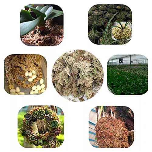 Sphagnum Moss Dried Spagnum Dry Moss for Reptiles Bedding and Terrarium Pet Supplies 150g