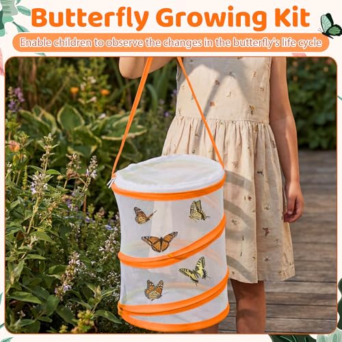 Sherr 6 Pack Butterfly Habitat Cage, 9"x11" Pop-up Mesh Butterfly Net Terrarium, Reusable Caterpillar Raising Kit, Portable Bug Catcher Enclosure for Transporting and Raising Critter (5 Mixed) - color: 5 Mixed