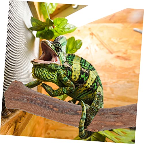 Reptile Climbing Branch Suction Cups Natural Grapevine Wood Lizard Toy for Terrarium Decor for Bearded Dragons and Geckos 12-inch Length