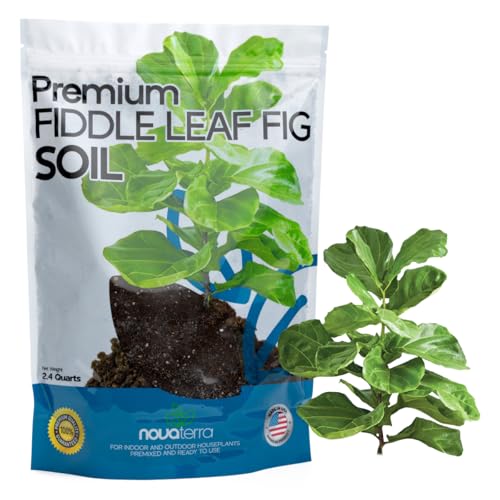 Fiddle Leaf fig Soil Plant Food fig Trees Live Plants Fertilizer Seed Starter Soil Plant - color: Fiddle Leaf Fig Soil