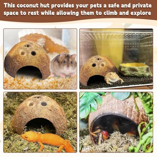 PINVNBY Natural Coconut Reptile Hideouts Lizard, Coco Hut Hermit Crab Hut Aquarium Fish Hide Cave for Small Reptile Crested Gecko Leopard Gecko Spider Snail Climber Toys (6 PCS Natural Surface) - size: 6 PCS Natural Surface