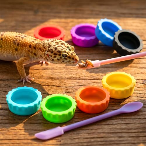10 PCS Crested Gecko Food Dish Silicone Gecko Feeding Dishes Bowls and Spoon Bearded Dragon Crested Tank Accessories Reusable Reptile Dish with Feeding Spoons for Reptile Tanks Lizard Water Food