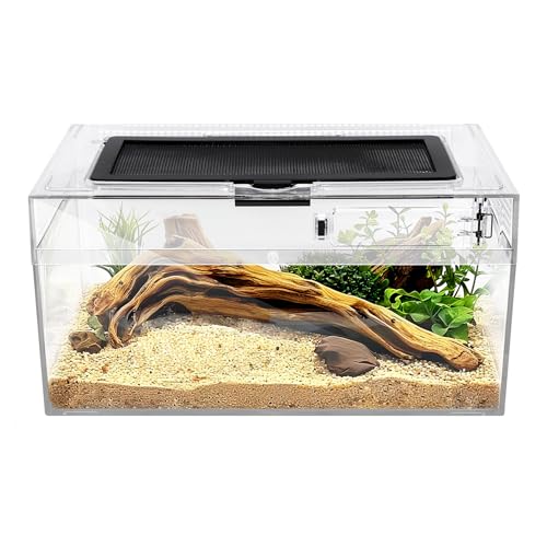 Reptile PC Terrarium Amphibian Tank Spider Enclosure Snake Cage 7x11.8x5.9inch Suitable for breeding Leopard Gecko,Frog,Hermit Crab,Lizards,Isopod,Tarantula,Turtles,Chameleons,Jumping Spiders - size: Large