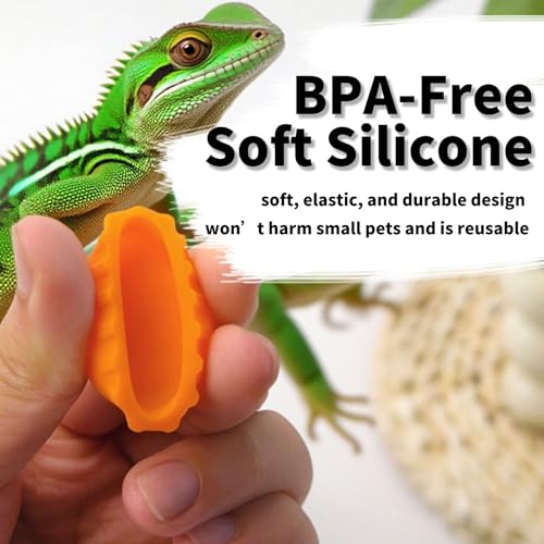 10 Pack Crested Gecko Food and Water Feeding Cups, Reusable Reptile Feeder Dish Tank Accessories for Hermit Crab, Small Lizard, Tarantula, Isopods, Tortoise Colorful