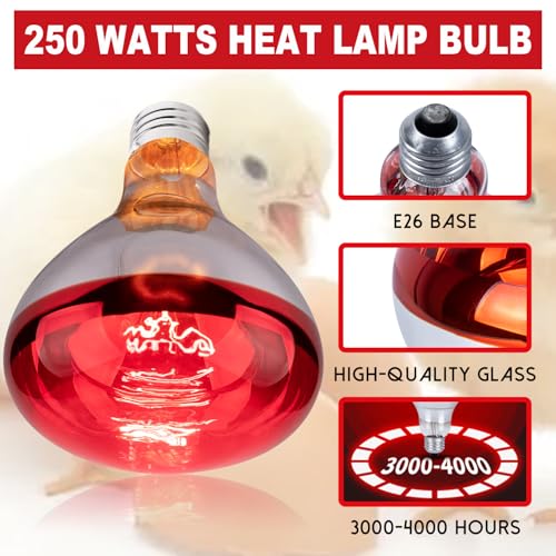 6 Pack 250W Heat Lamp Bulbs for Chicks, R40 Brooder Heat Lamp for Chickens, Infrared Reflector Heating Bulbs, Incandescent Heat for Pet, Bathroom, Food