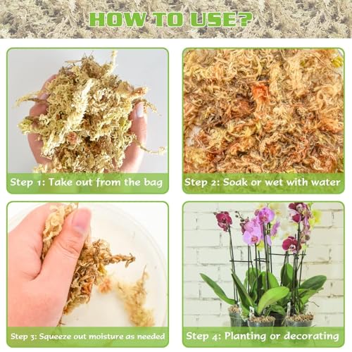 ZeeDix 6 oz Sphagnum Moss for Plants Indoor, Long Fiber Natural Orchid Moss for Repotting Carnivorous Plants, Succulents, Monstera, Flower & Reptile Terrariums Habitats (Expands to 8 qt) - size: 6 ounces