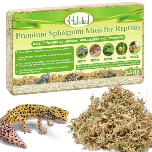 Halatool 3.5OZ Natural Sphagnum Moss for Reptiles Premium Reptile Moss Ideal Terrarium Moss for Box Turtles Hermit Crabs Leopard Gecko Snakes and Hamsters Enclosure - size: 3.5oz