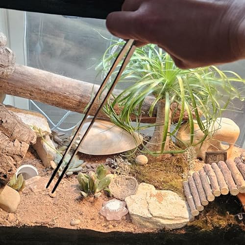 1set/2Piece Steel Reptiles Feeding Tongs Straight & Curved Long Tweezers with Nonslip Tip for Precise Handling Use Feeding Tongs with Rubber Tip