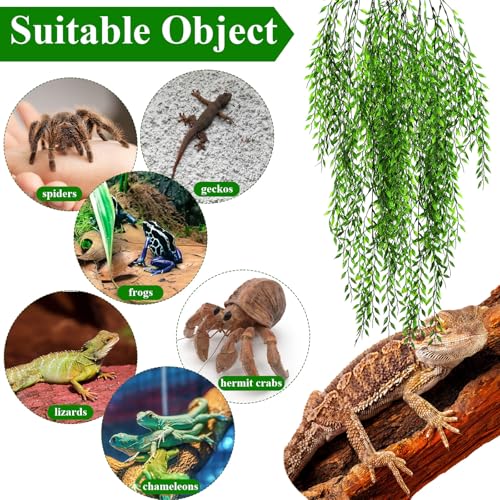 Suncalla Reptile Plants Terrarium Hanging Plants Vines Boston Climbing Terrarium Plant with Suction Cup for Bearded Dragons Lizards Crested Gecko Snake Crab Tank(Petite Leaf Series,Multiple Green) - style: Petite Leaf Series