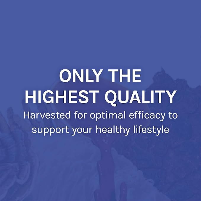 Host Defense Stamets 7-7 Species Blend - Mushroom Supplement for Immune Support - Includes Royal Sun Blazei, Cordyceps, Reishi, Maitake, Lion's Mane, Chaga & Mesima - 60 Capsules (30 Servings)*