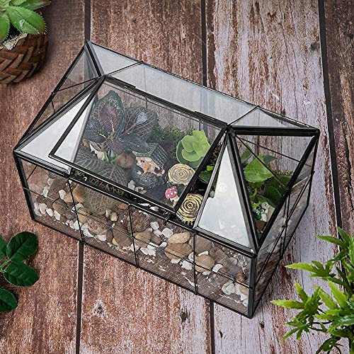 Ferrisland Glass Terrarium Greenhouse House Shape Display Box Planter for Succulents Plant Terrarium Container Mordern Tabletop Decor Gardern DIY Kit - size: 9.1"L x 7.3"H 5.4"W