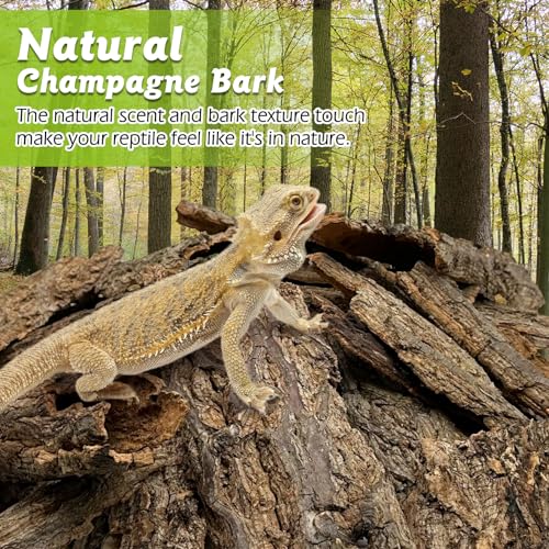 Reptile Cork Bark with Reptile Climbing Decor Thick Wood Branches Snake Habitat Decorations Terrarium Wooden Tree Trunk Ornament