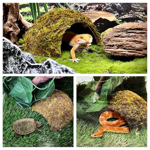 PINVNBY 2 Pack Natural Green Moss Hide Caves Coconut Reptile Hideouts Hamster Climbing Toys Gecko Habitat Decor Lizard Shell Shelter for Snake Tarantulas Turtle Chameleon - size: 2 PCS Moss Surface