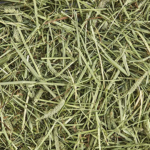 Kaytee Timothy Hay, High Fiber, Grown Specifically for Small Animals, Rabbits, Guinea Pigs, Chinchillas, Ideal Bulk Order for Small Pets, 3 Pounds - size: 3 Pound (Pack of 1)
