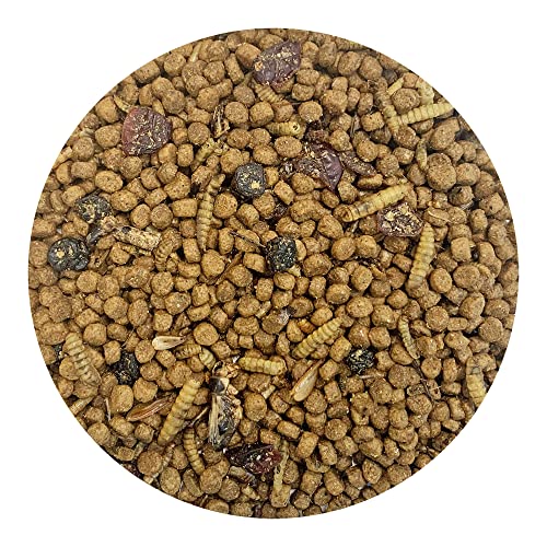 Berries & Bugs 3 lb. - All Natural High Protein High Fiber Insectivore Diet with Fruit, Gut-Loaded Insects, & Healthy Vitamins - Hedgehogs, Sugar Gliders, Skunks, Opossums & Other Insectivores - size: 3 Pound (Pack of 1)